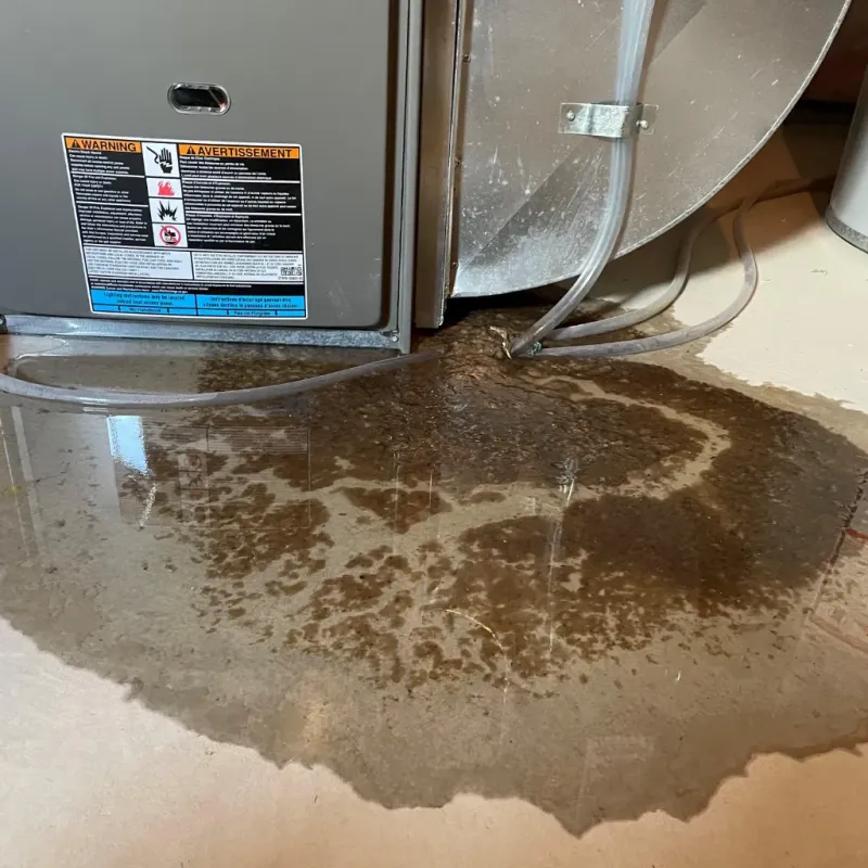 Appliance Leak Cleanup in Milam, TX